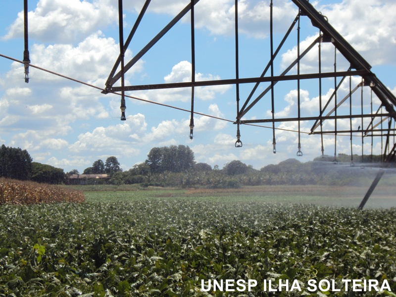 aula_cerrado_12marc2012 (26).JPG